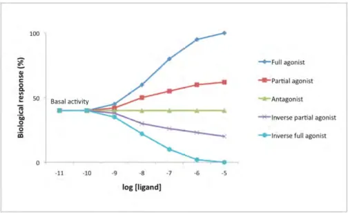 Figure 1.3.: Schematic representation of dose response curves by different types of GPCR ligands.