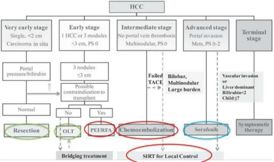 Figure 5: Algorithme modifié du BCLC proposé par le congrès Asie - Pacifique en 2016 pour le  positionnement de la radioembolisation (SIRT).