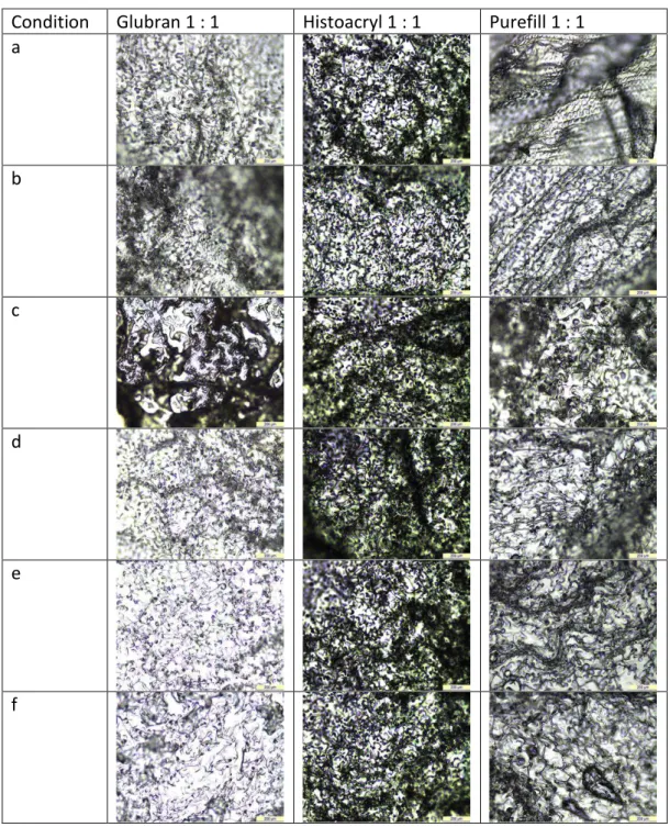 Tableau 9 : Aspects en MO (X100) des films obtenus en fin de polymérisation, selon les conditions a à f, au ratio  1 :1, pour chaque colle