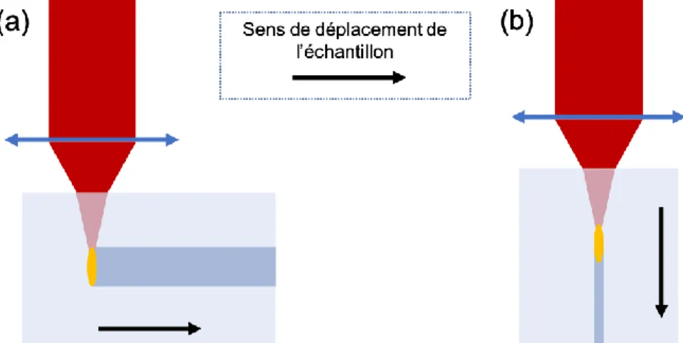 Figure 1.10 :  Schéma  des  modes  de  translation  (a)  transverse  et  (b)  longitudinale  de  l’échantillon pour l’inscription par laser