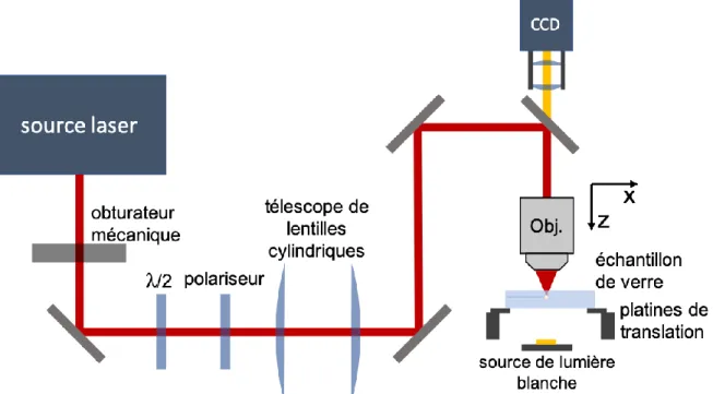 Figure 2.1 : Schéma du montage d’inscription utilisé. La source laser est soit un oscillateur  Ti : Saphir amplifié (800 nm), soit un laser à fibre dopé Yb (1030 nm)
