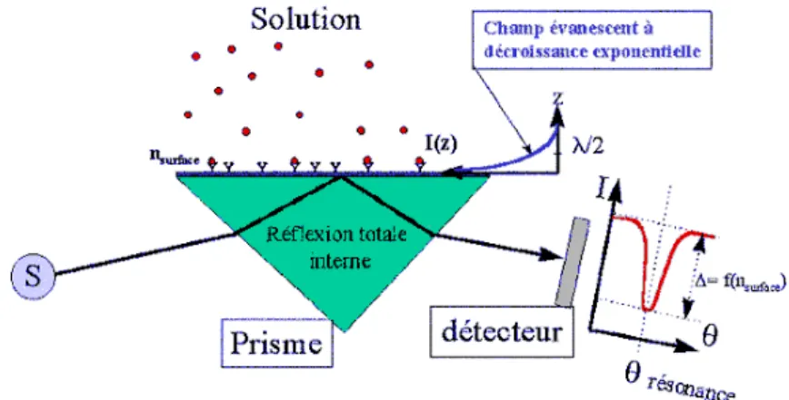 Figure 1-6: Principe de mesure par résonance de plasmon de surface 