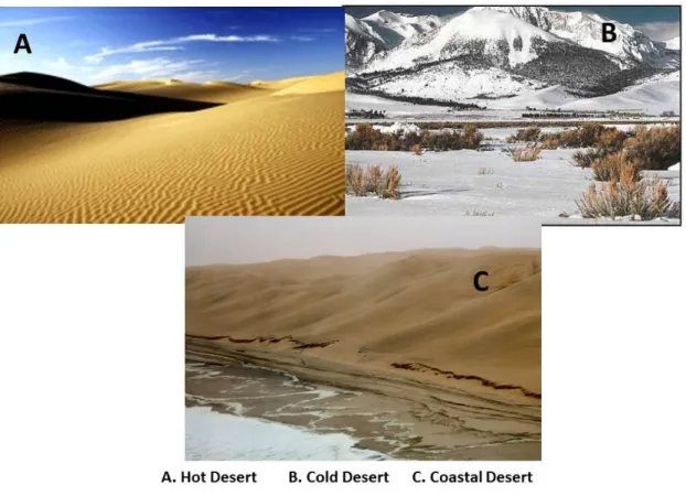 Figure 1.10.  Classification of deserts. The pictures are from three different types of  deserts: A