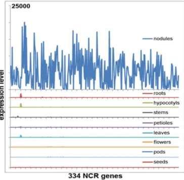 Figure 12. NCR expression in plant tissues. The expression pattern of 334 NCRs is shown for nodules,  roots, hypocotyls, stems, petioles, leaves, flowers, seed pods and seeds