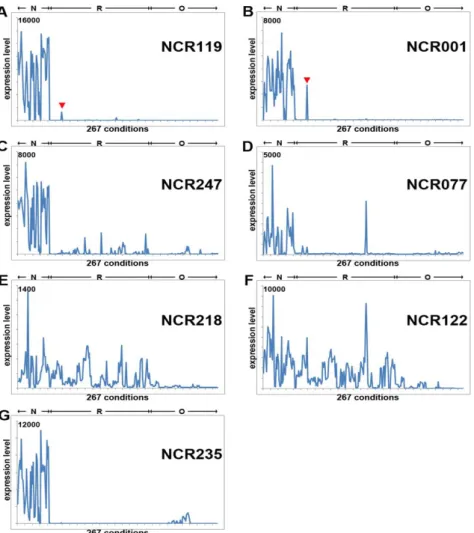 Figure 13. Expression profile examples of seven NCR genes. (A-G) The expression pattern of seven  NCR  genes  in  267  experiments  (x-axis)  in  nodules  (N),  in  roots  (R)  and  in  other  organs  (O)