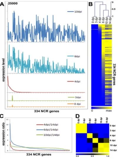Figure 14. Successive activation of NCR genes during nodule development. (A) Expression level of  the 334 NCR genes (x-axis) at 0, 3, 4, 6 and 10 dpi