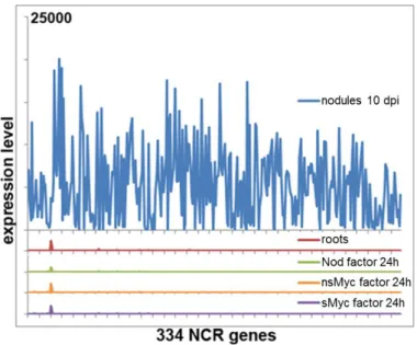Figure 15. NCR gene expression in response to Nod factors and Myc factors. The expression pattern  of 334 NCR probe-sets (x-axis) is shown from top to bottom as follows: for nodules 10 dpi, untreated  control roots, 24h 10-8M Nod factor treatment, 24h 10-7
