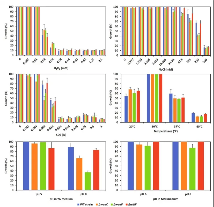 Figure 40: Sensitivity to various membrane stressors of B. insecticola LPS mutant strains