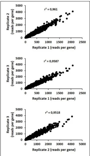 Figure 26: Correlations between read counts distribution in the three replicates of   YG rich medium condition