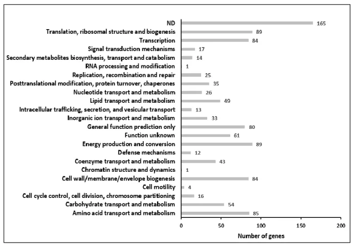 Figure 29: COG categories of essential genes identified in YG rich medium. 