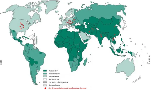 Figure 3. Distribution du risque d’être en contact avec le virus de la rage en 2013 (source OMS)