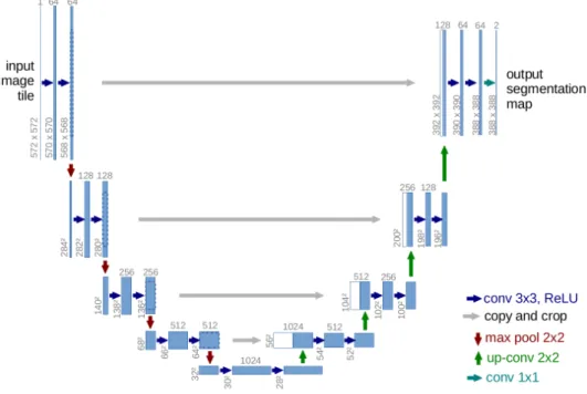 Figure 3.7 – U-net architecture, a fully convolutional network for medical image segmentation
