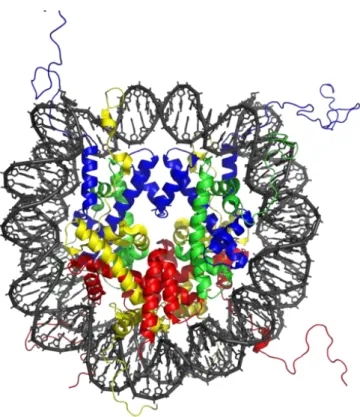 Figure  1.  The  structure  of  a  nucleosome  core  particle  defined  by  X-ray  crystallography  at  2.8  Å  resolution