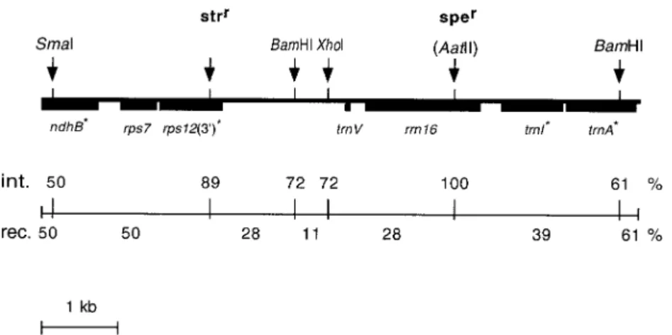 Figure 2. Distribution of co-integration and recombination frequencies in the targeted region following transformation of tobacco plastids with the pSSH1M plasmid