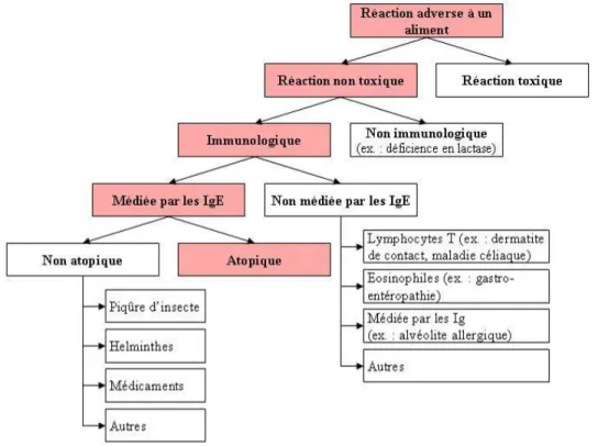 Figure 1 : Algorithme détaillé des mécanismes des manifestations cliniques  d’hypersensibilité 