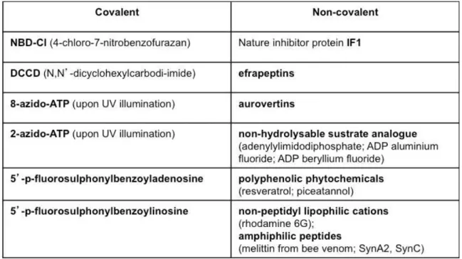 Table  2.  Identified  covalent  and  non‐covalent  inhibitors  of  mitochondrial  F 1 ‐ATPase  (Gledhill  &amp; 