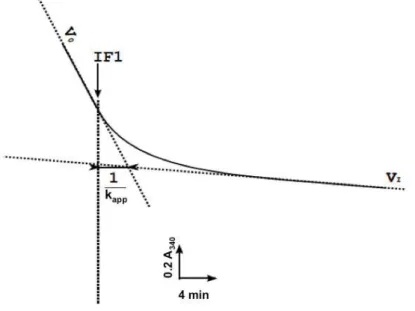 Figure 26. Spectrophotometric recording of ATP hydrolysis and IF1 inhibition in real time kinetics. 