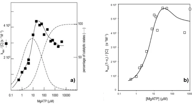 Figure  34.  Experimental  determination  of  IF1  binding  parameters  to  MF 1   WT  (Corvest  et  al,  2007; 