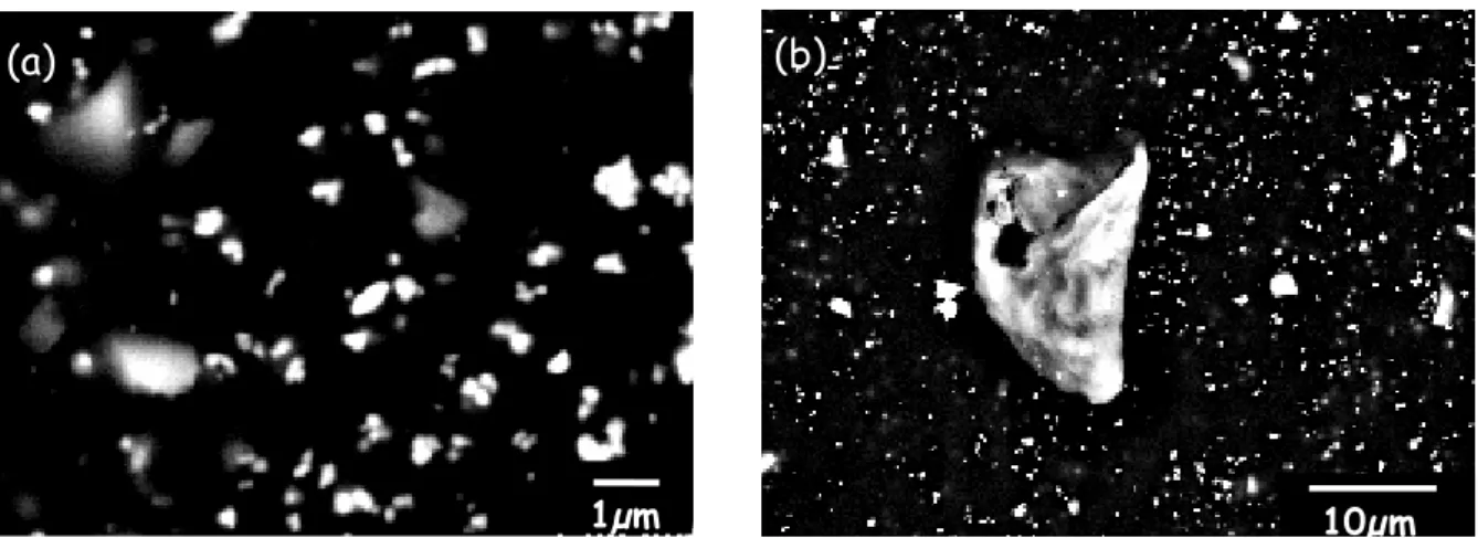 Figure 5 : Images réalisées par MEB de la surface de la peinture grise. (a) Petites particules constituées  majoritairement de Ti et O
