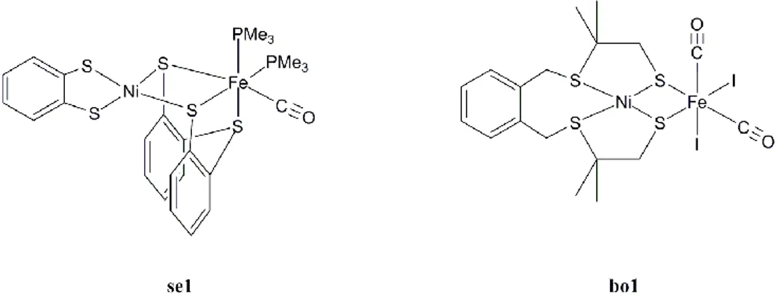 Figure 12 : modèles structuraux dans lesquels le nickel est exclusivement coordiné par des  ligands soufrés 
