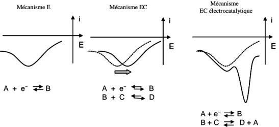 Figure 19 : évolution d’une vague électrochimique en voltammétrie cyclique selon le mécanisme 