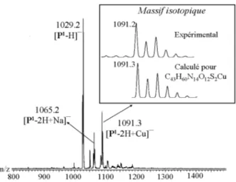 Figure 53 – Complexe CuP 1 observ´e en ES-MS en mode n´egatif pour un ´equivalent de Cu(I) dans AcONH 4 20 mM, pH 7
