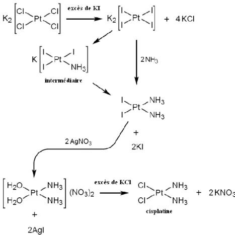 Figure  2 :  Les  étapes  principales  de  la  synthèse  du  cisplatine  selon  la  méthode  de  Dhara,  utilisant  le  tétrachloroplatinate  de  potassium  (II)  comme  précurseur  (adapté  de Alderden et al., 2006).