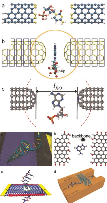 Figure 1.19 – Exemples de mesures de courant ´electroniques transverses lors de la translocation.