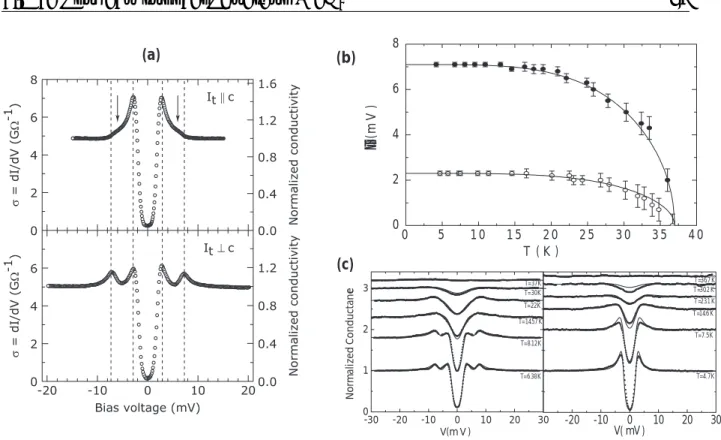 Fig. 2.2 – Conduction tunnel dans MgB 2 sous champ magn´ etique nul : (a) spectre obtenu
