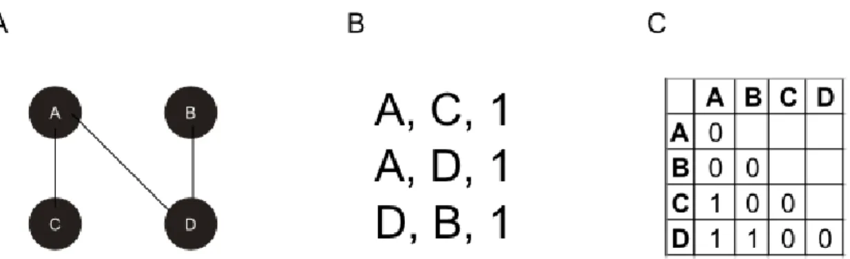 Figure 14. Différentes représentations de graphe. A | Un exemple de réseau à 4 nœuds et 3 liens