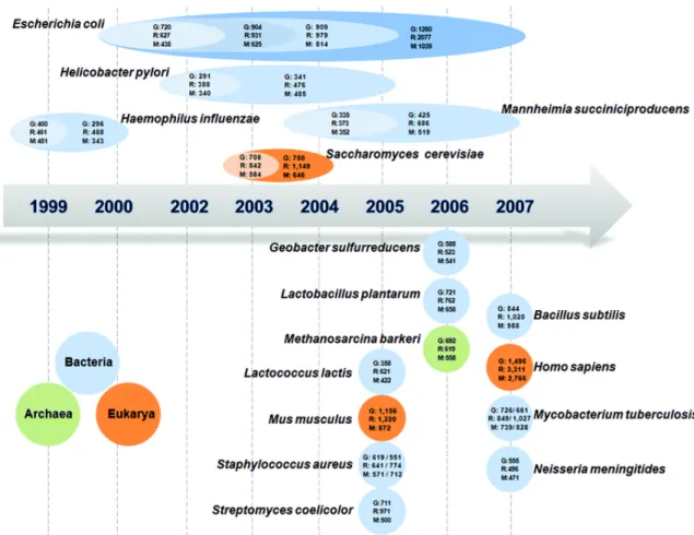 Figure  4 :  Evolution  du  développement  des  GEMs  (Genome  Scale  Models)  de  différents  organismes  (D’après  Kim  et  al.,  2008)