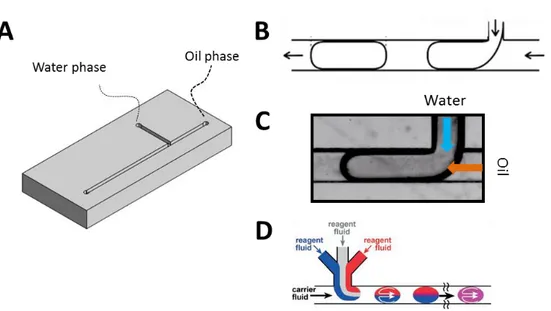 Figure  5-5  Microfluidic  T-junction  system  for  droplet  formation.  A)  3D  visualization  of  a  simple  T-junction  microfluidic  chip