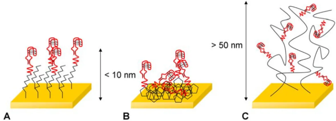 Figure 2.2 Représentation des différentes chimies de surface utilisables pour l’immobilisation des sondes à la  surface