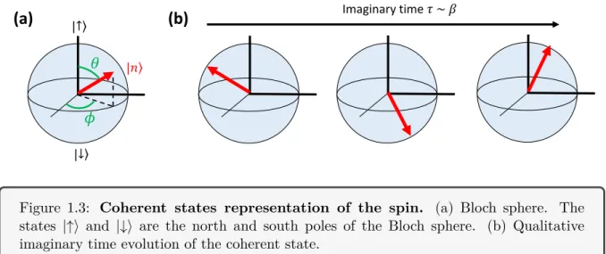 Figure 1.3: Coherent states representation of the spin. (a) Bloch sphere. The states |↑i and |↓i are the north and south poles of the Bloch sphere