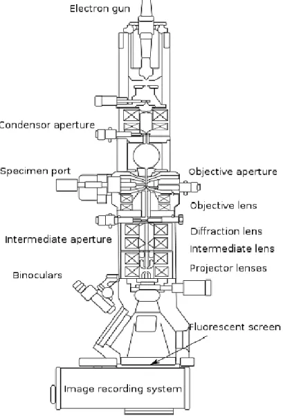 Figure 4.5: Schematic illustration of different components in a TEM microscope. Ref [94]