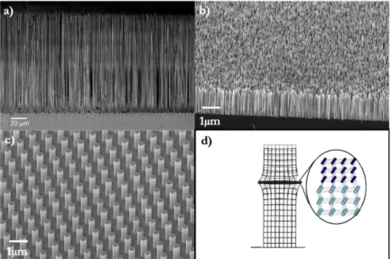 Figure 7. SEM images for GaN nanowires synthesized by different techniques. a) MOCVD (El Kacimi et al
