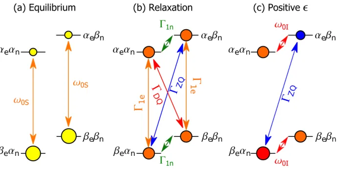 Figure I.2. Principle of the OE. The figure shows energy level diagrams of a system consisting of  one electron and one proton in different cases: (a) the Boltzmann distribution of populations at  thermal  equilibrium,  (b)  the  saturation  of  electron  