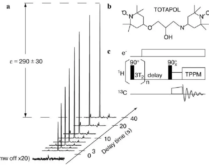 Figure  I.5.  (a)  The  build-up  of  the  1 H 13 C  CPMAS  signal  of  2M  13 C-urea  with  3  mM  TOTAPOL in a frozen solution of [ 2 H] 6 -DMSO/ 2 H 2 O/H 2 O (60/34/6 wt%) mixture as function of  the μw irradiation time