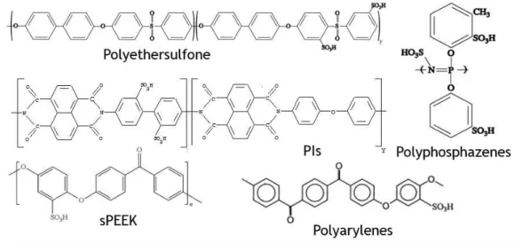 Figure 1.6 – Quelques exemples de polym`eres susceptibles de concurrencer le Nafion.