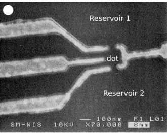 Figure 1.3: Scanning electron microscope top view of a 2DEG quantum dot.