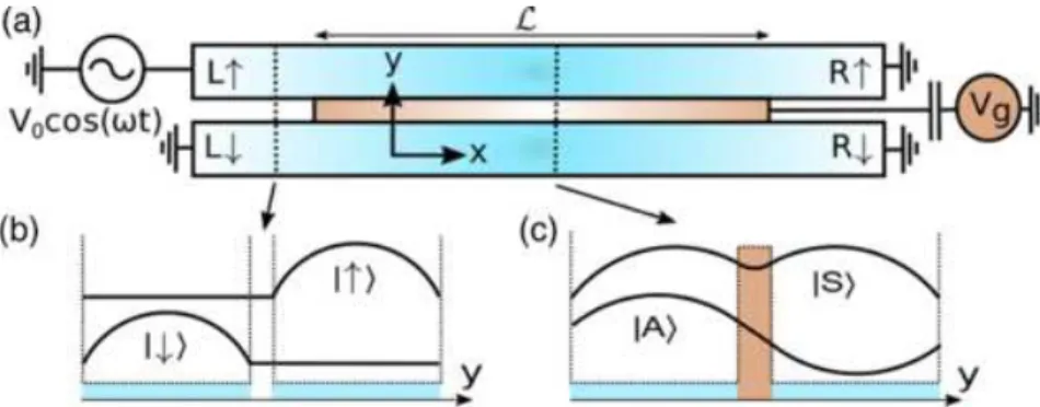 Figure 5.6: (a) Schema of a Mach-Zender interferometer/ flying qubit experiment.