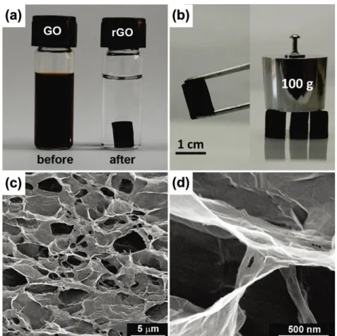 Figure I-16 Hydrothermal treatment of graphene oxide leads to (a, b) RGO hydrogels. The SEM images of  show the interconnected 3D network