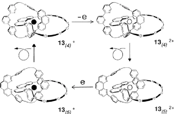 Figure I-21. Réarrangements moléculaires induits électrochimiquement pour le caténane de  cuivre 13 2+/+ 