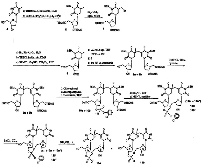 Figure 13 : Voie de synthèse selon Kim et coll. (Kim et al., 1995). 