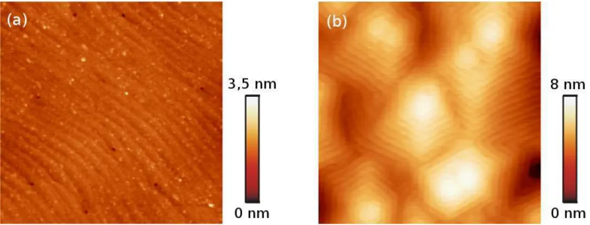 Fig. 3.4  Comparaison de la morphologie de surfae pour des éhantillons réalisés