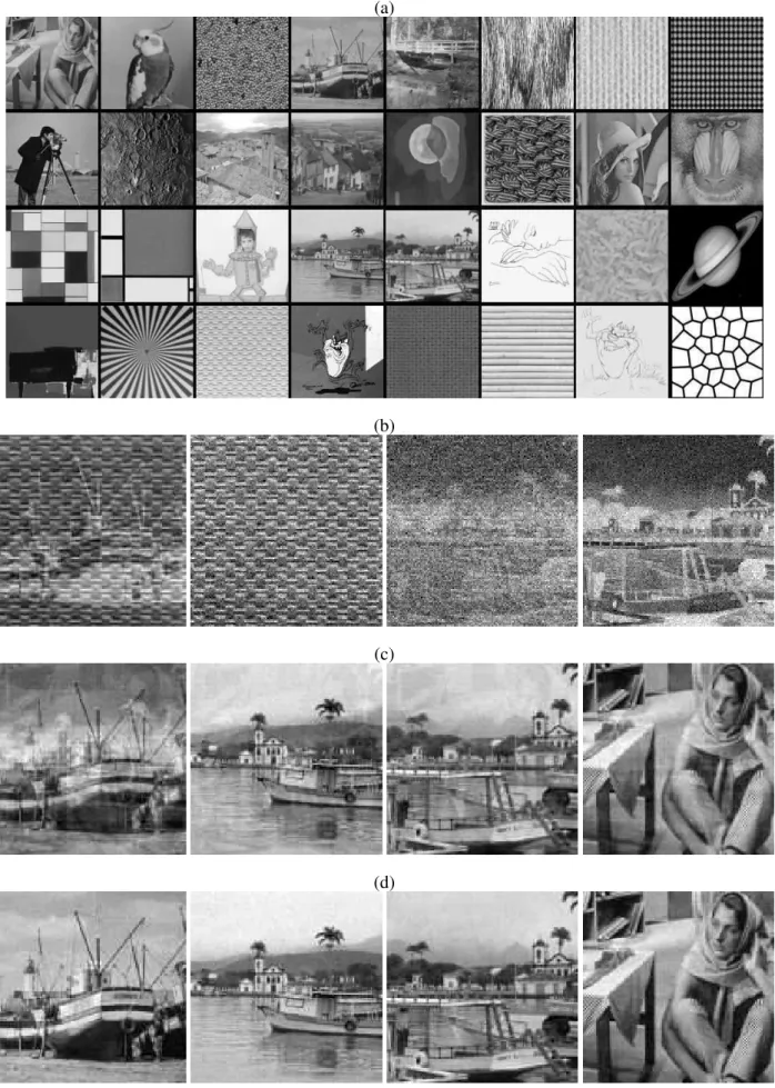 Fig. 5. (a) Images used as sources. (b) Four noisy mixtures out of m = 128 (SNR=20dB)