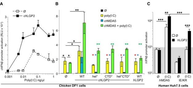 Figure 7. Cooperativity of LGP2 with MDA5 in Cells