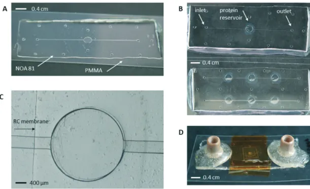 Fig. 2 NOA 81 microfluidic chips embedding an RC dialysis membrane for the on-chip crystallization of proteins and in situ X-ray measurements.