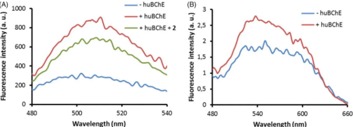 Figure 7. Fluorescence spectra of probes 2C (A) and 3B (B) at 1 l M in buffer without huBChE (blue), with huBChE at 500 nM (red) and with huBChE at 500 nM and inhibitor 2 at 1 l M (green)