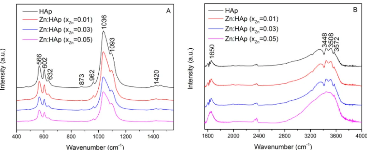 Figure 2. Fourier transform infrared spectroscopy (FTIR) spectra of Zn:HAp, samples with 0 ≤ x Zn  ≤ 0.05  from 400 to 1400 cm −1  (A) and from 1600 to 4000 cm −1  (B)